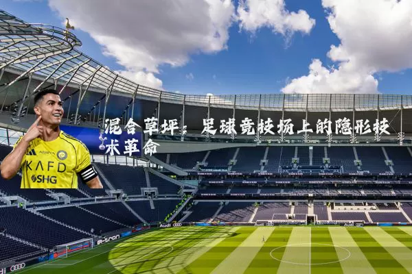 混合草坪：足球竞技场上的隐形技术革命